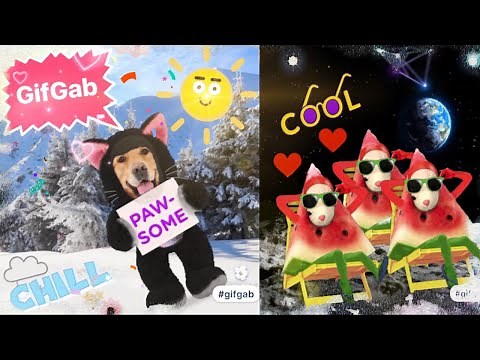Gifgab - Make & share funny GIFs