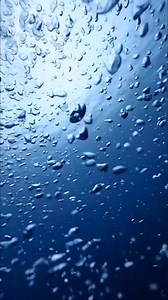 1.7K views · 20 reactions | SaveOcean 2mm Smooth-skin Women's Spring...