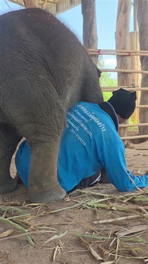 I'm riding the back just a little bit and pretending to cry