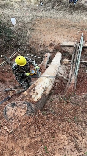 Carpintería con motosierra: de Tocón a escalones.