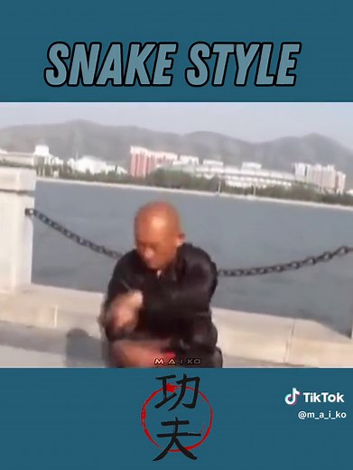 Kung Fu SNAKE STYLE 🐍⛩️ #kungfusnakestyle #kungfu #snake #shaolinkungfu #kungfustyle #fy