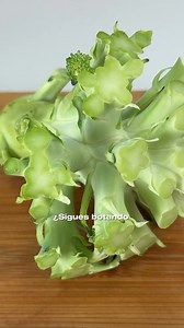 RECETA: Crema de Brocoli con Crocante de Parmessano 🥦🧀Para nosotros, una cocina sana empieza aprovechando lo que tenemos y eligiendo bien con qué cocinamos. Por eso, esta crema nace de algo que muchos botan: el tallo del brócoli 🌱Y la preparamos con nuestros utensilios de Bergner, pensados para una cocina más sana y sin mitos.- Cacerola de acero inoxidable y sartén de aluminio forjado antiadherente libre de tóxicos de la línea Midnight Blue. - Tabla de madera y utensilios de madera. Ingredien
