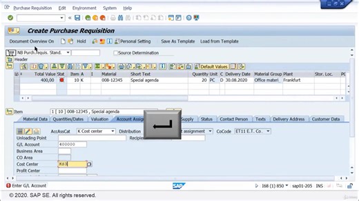 The Basics of SAP - Overview