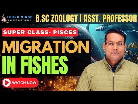 Migration in Fishes | B.Sc Zoology