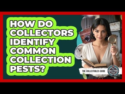 How Do Collectors Identify Common Collection Pests? - The Collectibles Guide