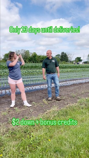 I don't know about you, but I'm feeling like it is the perfect time to sign up for your CSA Share! 🌱🎶 Everything will be alright if we just enjoy fresh produce together, so take advantage of this deal now. Tonight’s the night to sign up for only $2 down and earn bonus credits, but don’t forget about the deadline on the 22nd. 🤩🍓🥬 Tonight's the night when we forget about the supermarket heartbreaks because delicious farm fresh deliveries are 13 days away! 🚚✨ | New Century CSA