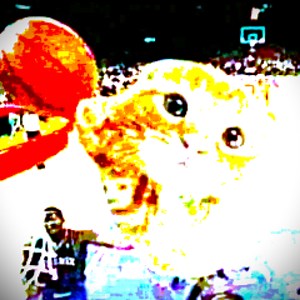 Sammy_ - Twitch