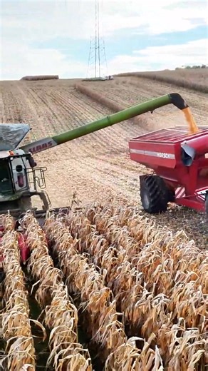 656K views · 4.7K reactions | We are simply enjoying the harvest season 2025 | Big Machines | Facebook