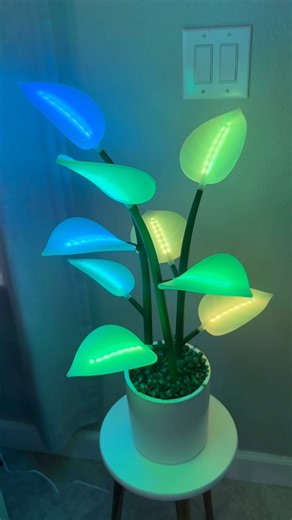 Meet the Fluora Mini — the smart light that turns any moment into a mesmerizing experience. Unbox it 📦Set it up in minutes ⏰ Then sit back and let it work its magic 🌿💡😍 Fluora | Megdabber