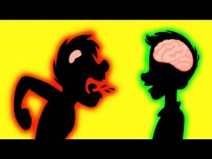 12 REASONS WHY YOU SHOULD ALWAYS LOOK ON THE BRIGHT SIDE