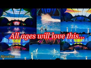 🇺🇸🐬🩵Dolphin Presentation & Show at Georgia Aquarium in Atlanta | Wave of Fun | Georgia | USA ​⁠