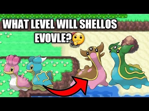 How to Evolve Shellos to Gastrodon on Pokemon diamond / pearl / platinum