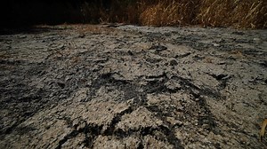 Surge in subsidence insurance payouts following last summer’s heatwave