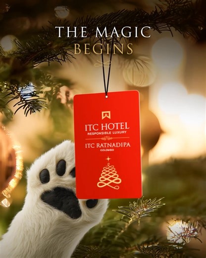8.7K views · 52 reactions | Step into the spirit of Christmas at ITC Ratnadipa. A season of warmth, wonder, and exquisite celebration is on its way and we can’t wait to share what we’ve been crafting for you. From sparkling décor to festive flavours, something truly magical is about to unfold. Stay tuned for the beauty of Christmas, the ITC Ratnadipa way. #ITCRatnadipa #ITCHotels #TheLuxuryCollection #MarriottBonvoy #Colombo #FestiveSeason | ITC Ratnadipa, Colombo | Facebook