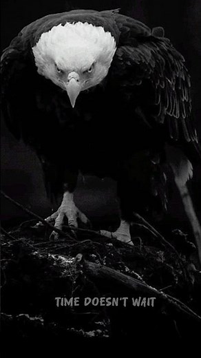 EGO..#motivation #attitude #mindset #viral #success #shorts #quotes ‪@MrBeast‬ #subscribers