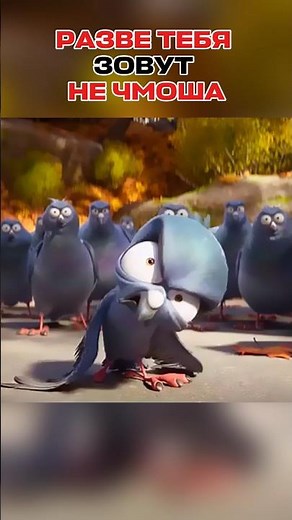 SHOWDOWN of ducks and pigeons😂 #cinema #movies #movie #series #meme #joke