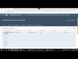 SAP Master Data Governance (MDG) Consolidation Demo