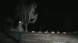 150K views · 1K reactions |  You've never seen this before! Watch...