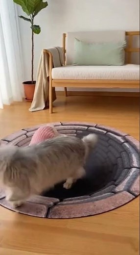 Cats are TERRIFIED of the 3D Hole Rug! 🤯 #shorts #cat #animals