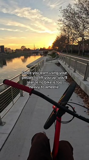 Mastering Wheelies: Tips for Any Bike Type