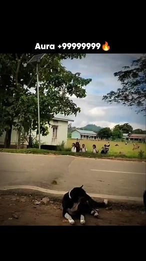 Bro is the main character🔥 Promise,u'll never regret after following ✌️ The video clips and music use in this edit are solely the property of their respective owners. I do not claim any ownership of this video. This clip as well as the music are used only for recreational and entertainment purpose. DM for Credit/Removal. #memes #viralmemes #explorepage #funny #comedy #trendingmemes #funnymeme #indianmemes #comedyreels | ChillyChuckler