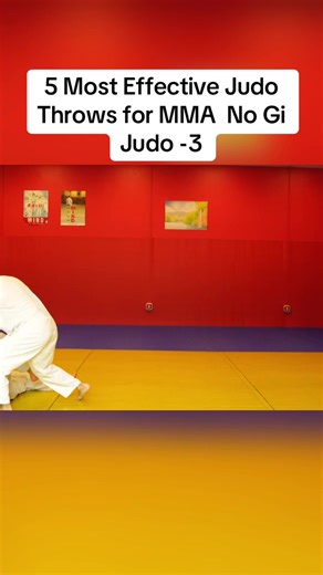 5 Most Effective Judo Throws for MMA No Gi Judo -3