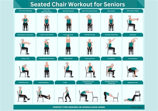 30 Dance Seated Chair Workout for Seniors Wheelchair Users Yoga Exercise Nursing Home Balance Stability 30day Challenge Physical Therapy PDF - Etsy