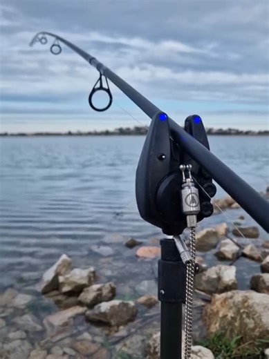 Exciting Carp Run Fishing Experience!