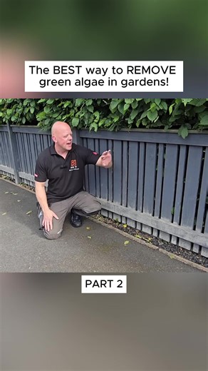 Effective Methods to Eliminate Green Algae in Gardens