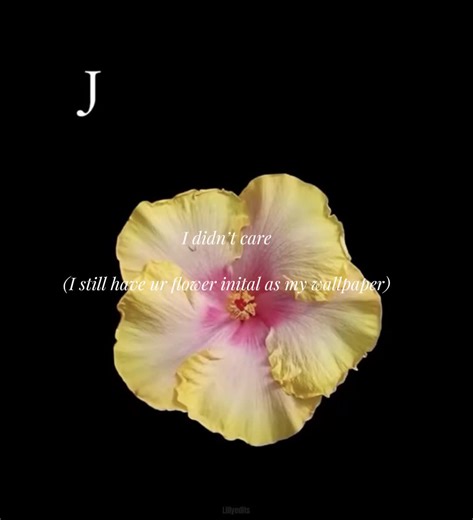 Stunning Flower Initial Wallpapers for Your Devices