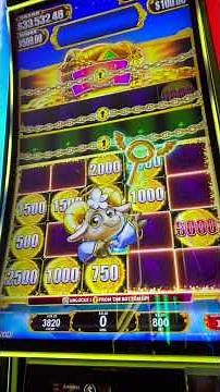 MAX Bet Bonus on the NEW Super Unwooly Riches! #slots #casino #lasvegas
