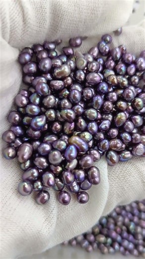natural freshwater pearl dark purple#naturalpearl #pearljewelry #freshwaterpearl