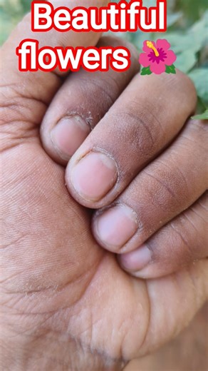 😲 wow#beautiful #flowers #trending #viral