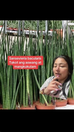 sinu ang may tanin na ganito?pa comment sa baba.swerte mo meron ka ganyan #reelsviralシ #viralchallenge # #viralphotochallenge #viralreelschallenge #viralreelschallengefyp | Jay Ann Mecabalo Monleon