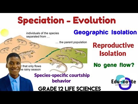 Speciation by Geographic & Reproduction isolation - Grade 12 Life Sciences evolution