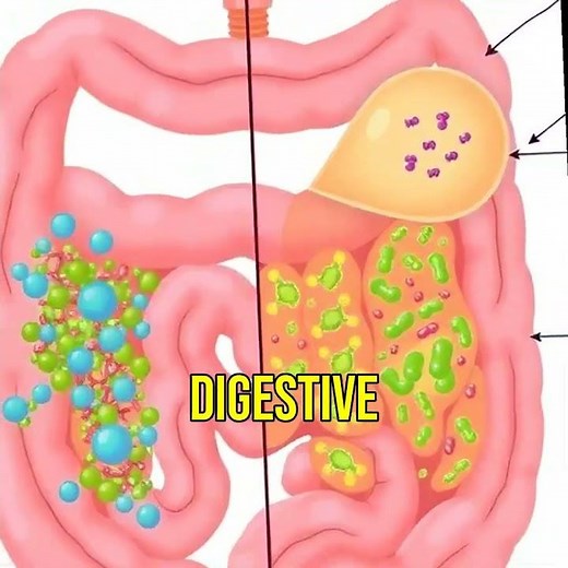 The Dangers of Holding in Your Poop! 🚨💩