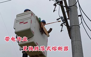 带电作业培训，更换跌落式熔断器。