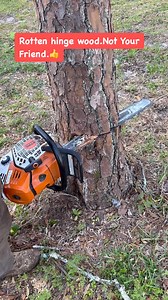 Andy Pridgeon on Reels