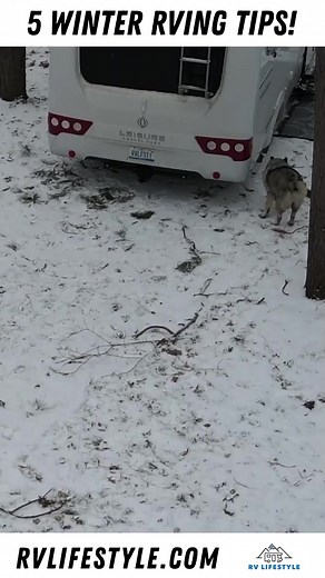 139K views · 2.6K reactions | RV Lifestyle on Reels | Facebook