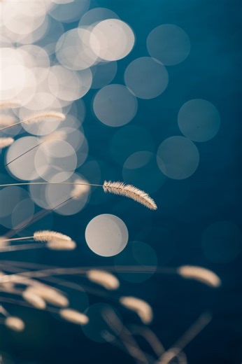 【EVERYBODY×PHOTOGRAPHER】ニッコールレンズ最高峰のボケ味「NIKKOR Z 135mm F1.8 S Plena」で撮影した作品をご紹介 | THE MAP TIMES