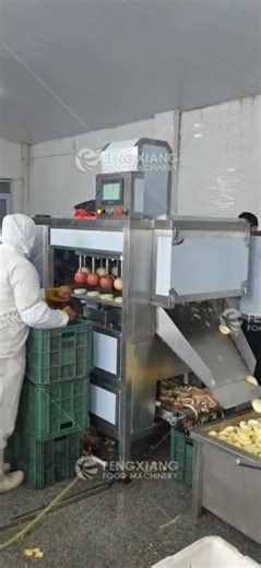 Automatic Apple Peeling Coring and Cutting Machine #ApplePeelingMachine #FruitProcessingMachine