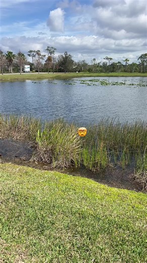 الفنان fares (@the_singer_fares)’s videos with original sound - الفنان fares