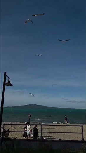 Mission Bay #newzealand #travel #beach