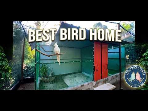 Huge Walk-In Aviary Review! 🦜🏠 | The Best Home for Our Birds?