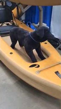 Another aspect of Madison Wisconsin 'Canoe Copia', Alliant Energy 3/15/26 SummerTime season lov'n