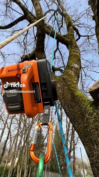 Power Ascender : l'outil révolutionnaire des arboristes