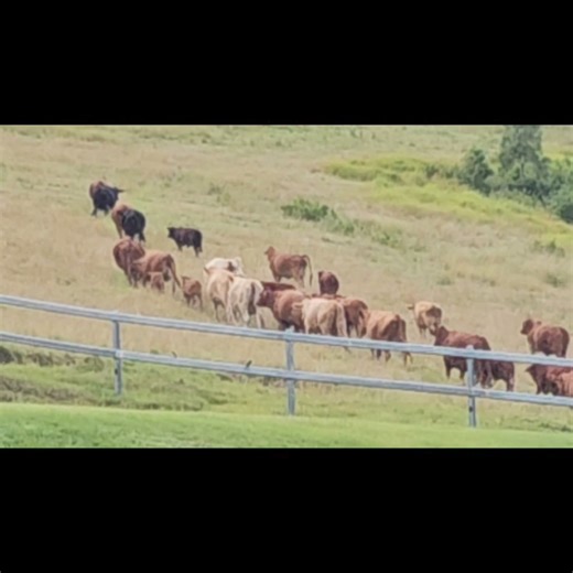 19K views · 662 reactions | ~Jennifer here~ This morning as I...