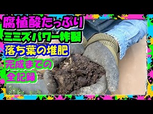 [How to make compost from fallen leaves] From preparation to completion!! Earthworm power explode...