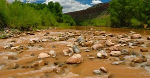 Why We Protect the Verde River