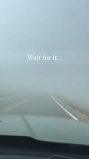 257K views · 5.2K reactions | Fall in love with the unpredictable...